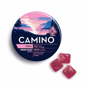Camino Chill Wild Berry Gummies 100mg